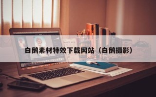 萍乡白鹅素材特效下载网站（白鹅摄影）